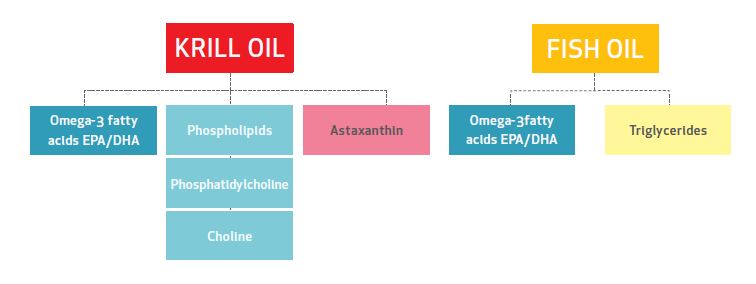 kril versus fish oil, kril versus rybi tuk